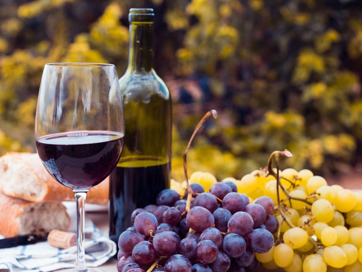 Vino avanzan en agenda de turismo postpandemia