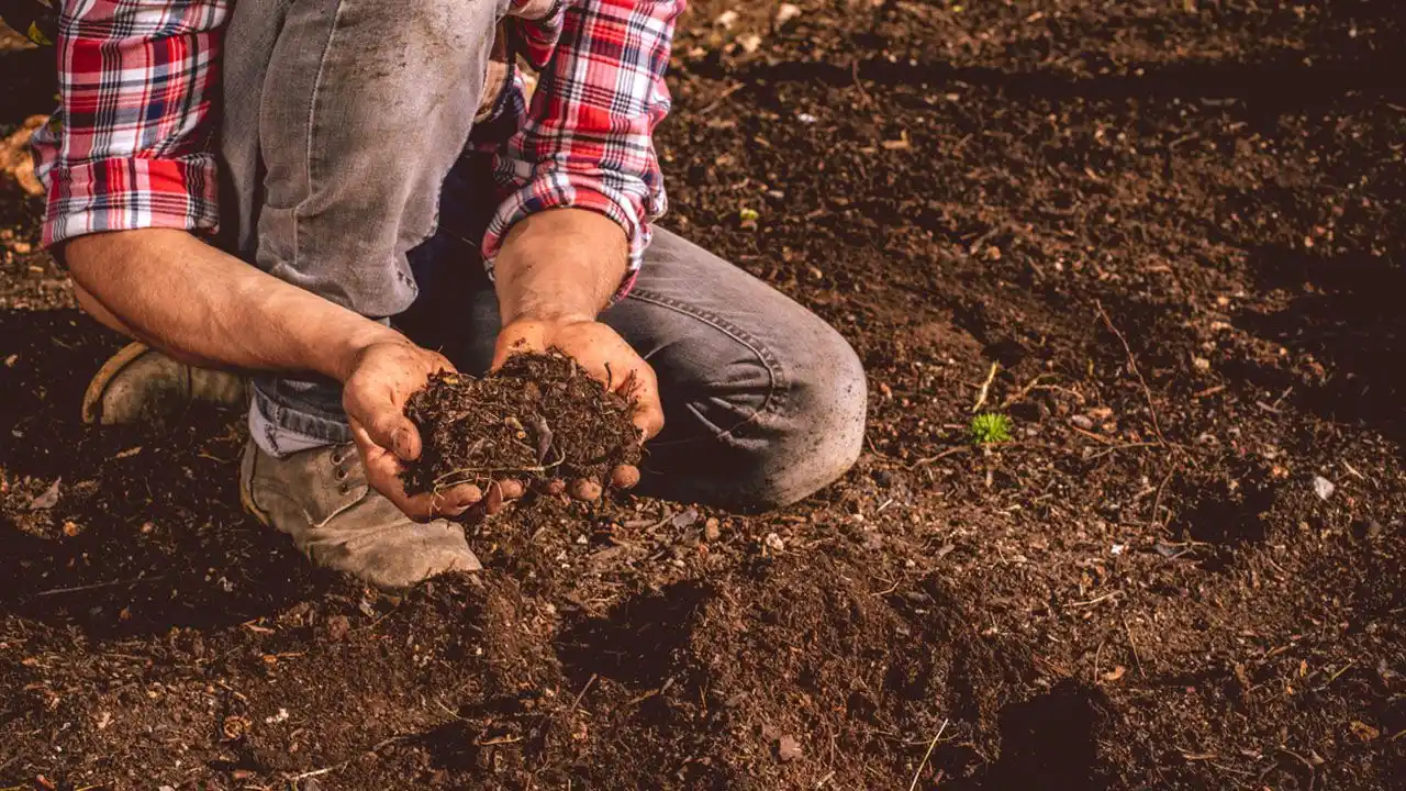 Cómo hacer una huerta domiciliaria en casa.