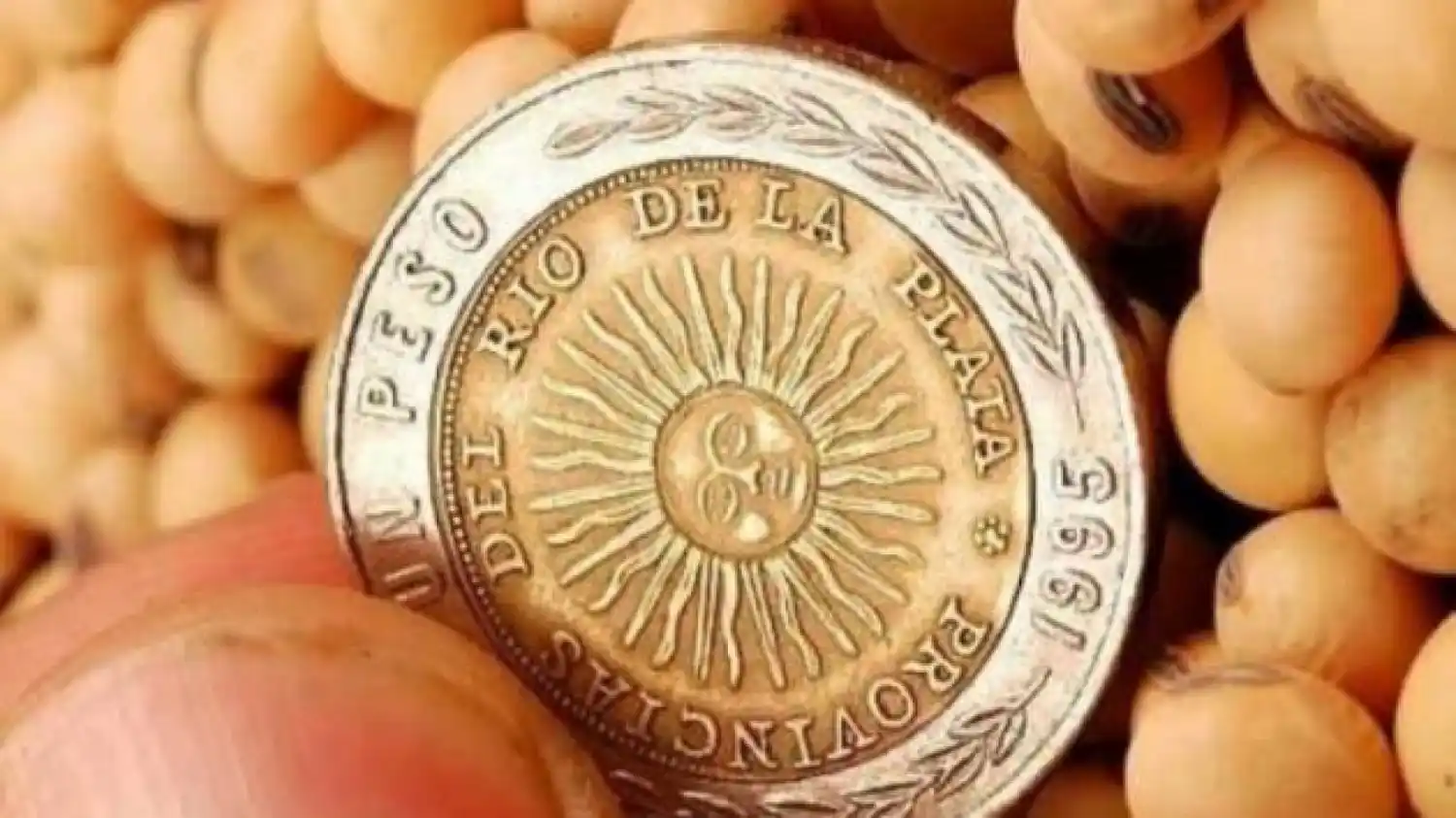 Cómo impacta la quita del fondo sojero en Crespo, Viale y Segui