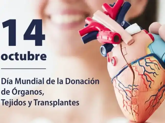 14 de octubre: Día Mundial de la Donación de Órganos, Tejidos y Trasplantes