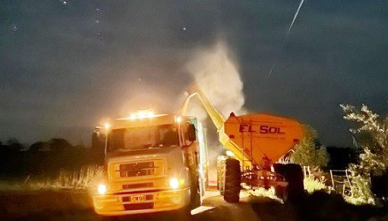 La humedad de cosecha evaporó 23 millones de dólares de la renta