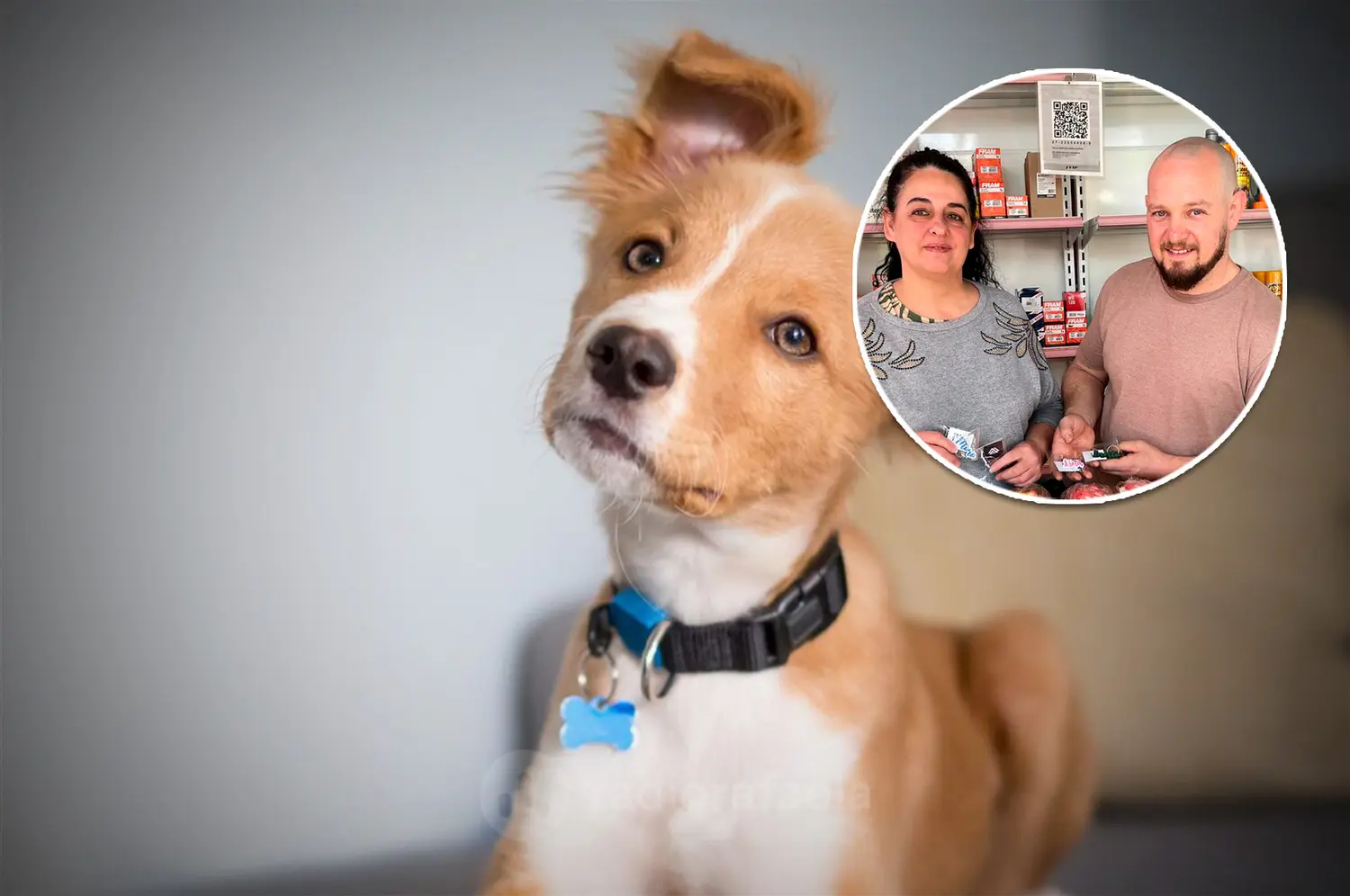 Maria Eugenia Gallo y Cristian Sterren | Hacen plaquitas solidarias con nombres de mascotas para animales rescatados