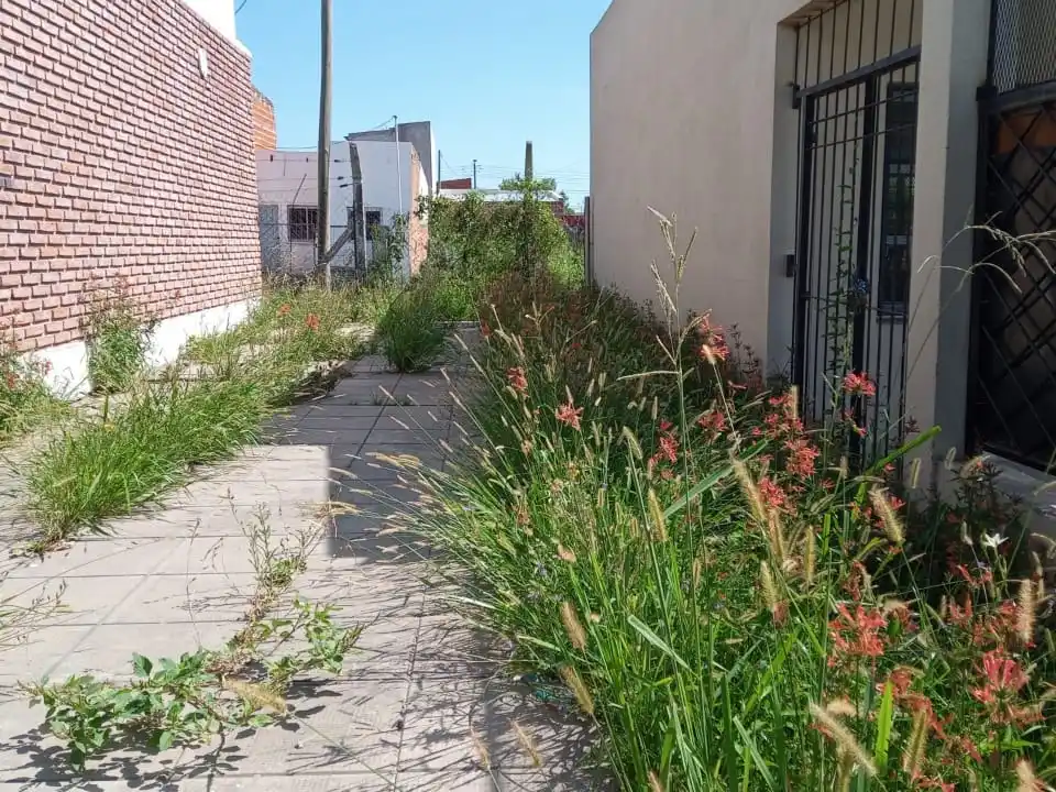 Reclaman por el pastizal dentro y fuera de una escuela secundaria