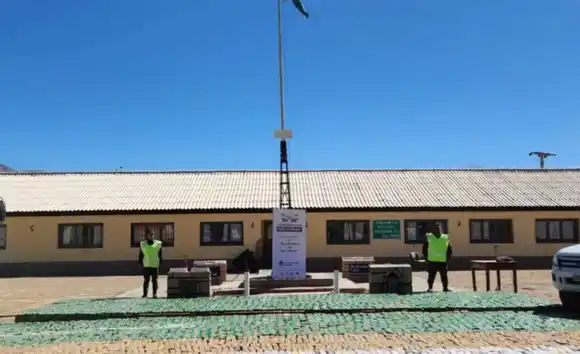 Gendarmería secuestró en Salta más de una tonelada de hojas de coca