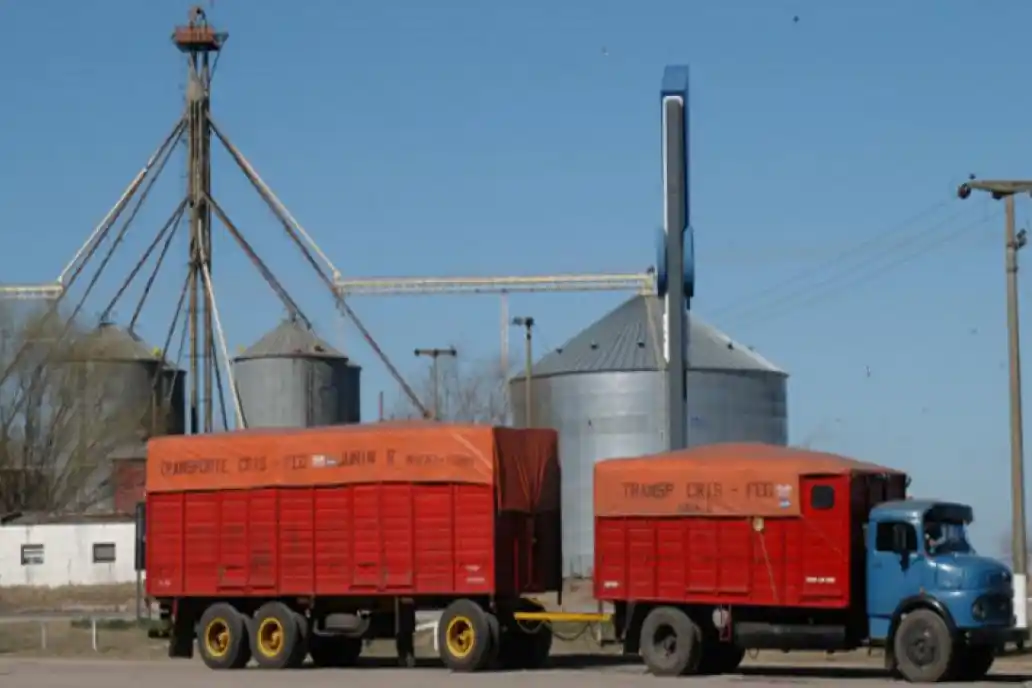 Sólo con un celular pueden controlar los granos almacenados