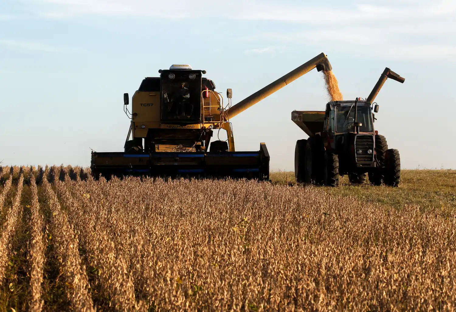 El volumen actual de granos remitido a los puertos ya supera en un 15% al registrado en la misma época del ciclo pasado.