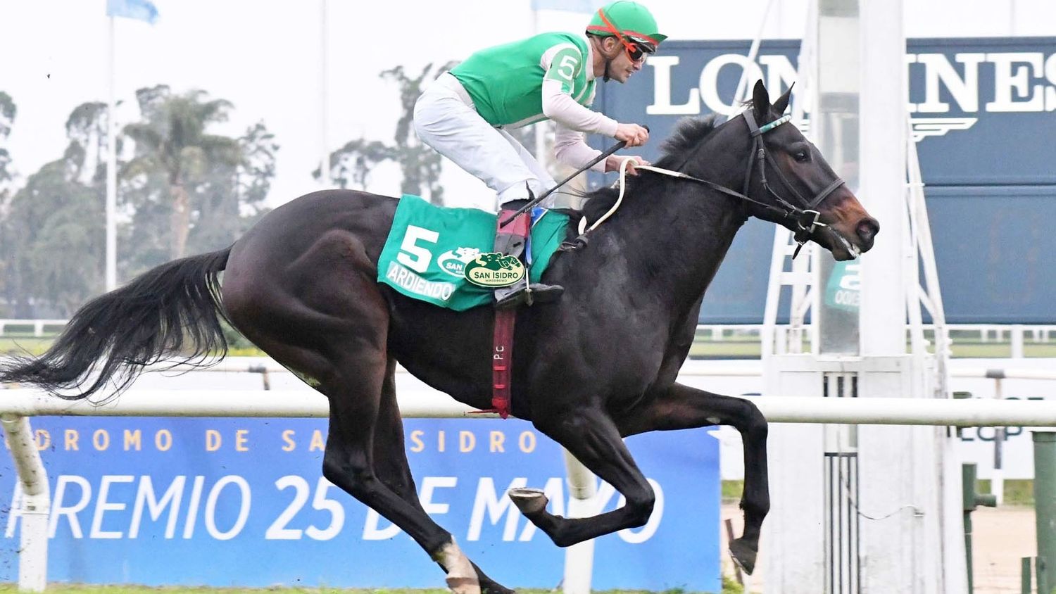 Un sábado espectacular en el Hipódromo de San Isidro, con 3 clásicos y más de $ 360 millones
