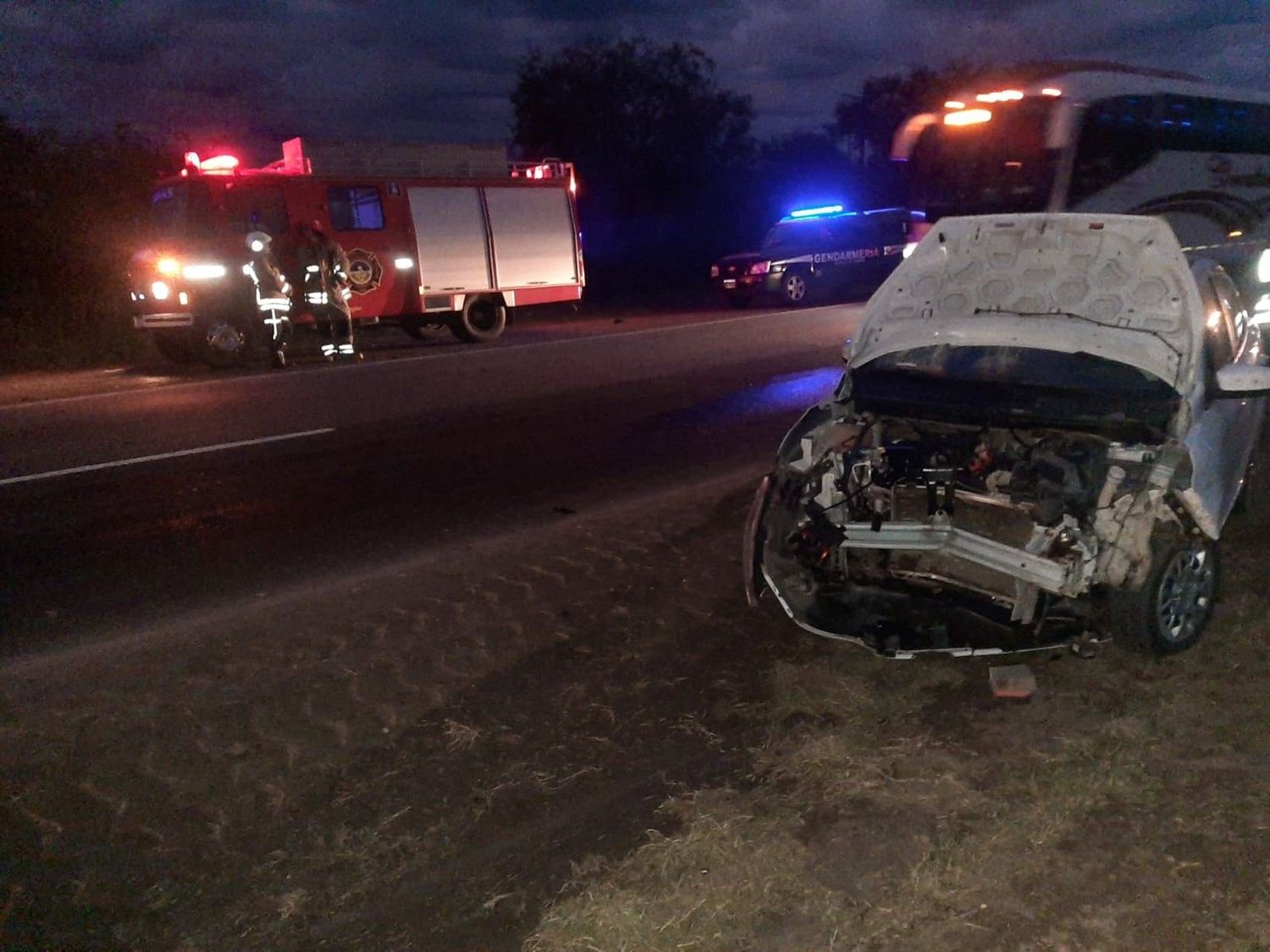 Un auto chocó contra un cerdo en medio de la ruta: no hubo lesionados