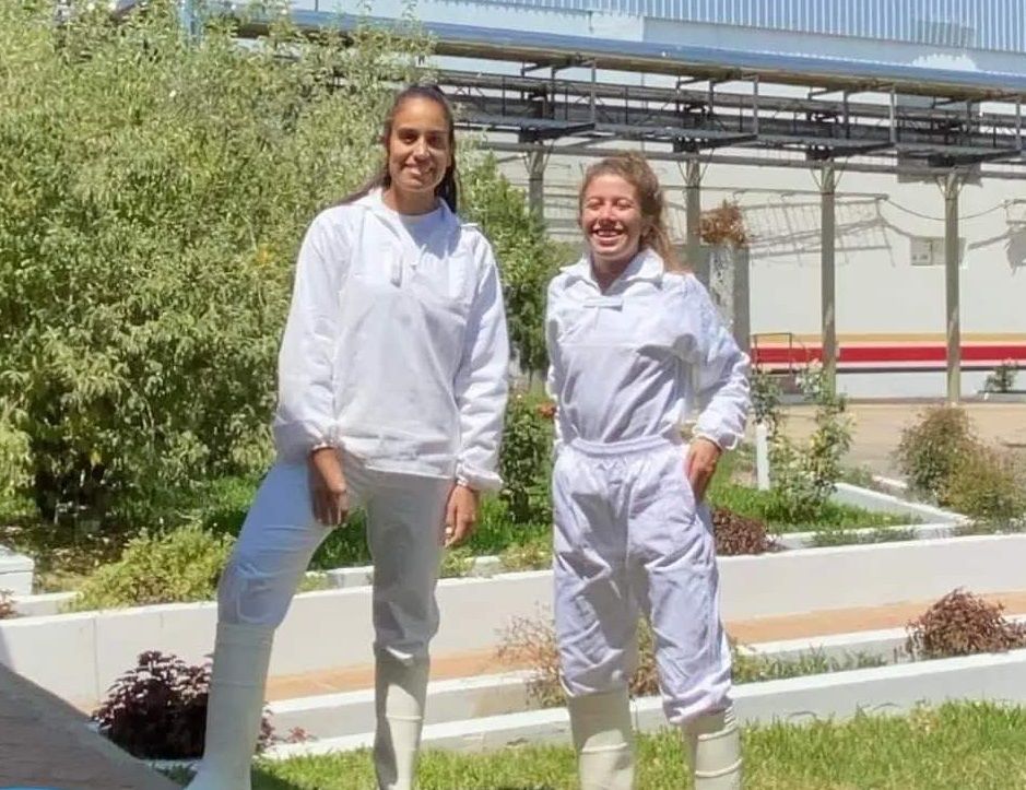 Investigadoras de la UNER presentarán en Valencia sus estudios sobre pechugas de pollo
