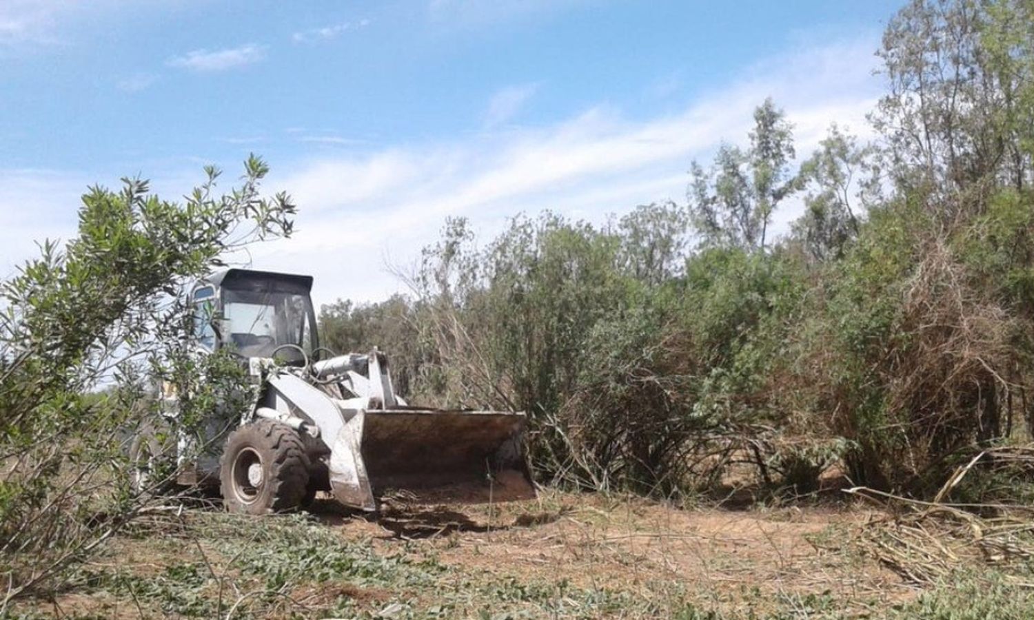 La ONG “El Paraná NO se toca” denunció que llegó maquinaria pesada a las islas