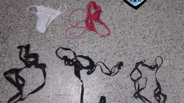 Terminó detenido por un extraño intento de robo: se llevó las tangas y arneses de su expareja