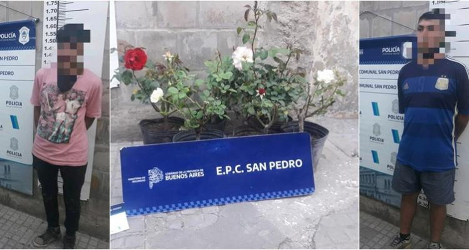 Robaron plantines de un vivero y los aprehendieron mientras se fugaban