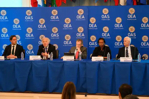 Panel de expertos de la OEA denuncia «la escalada de violencia en Venezuela» (+Informe)