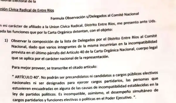Impugnan a los candidatos al Comité Nacional de la UCR	 