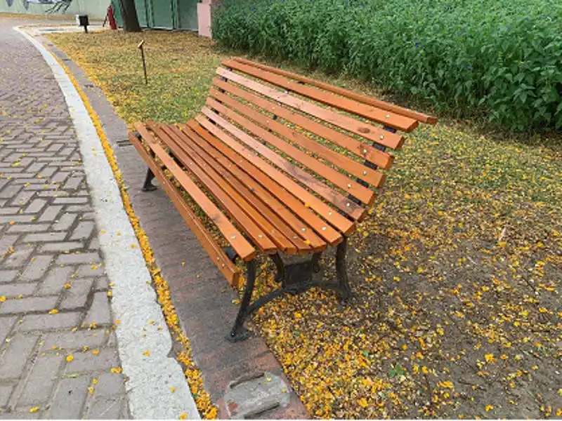 Olvidadizos y previsores