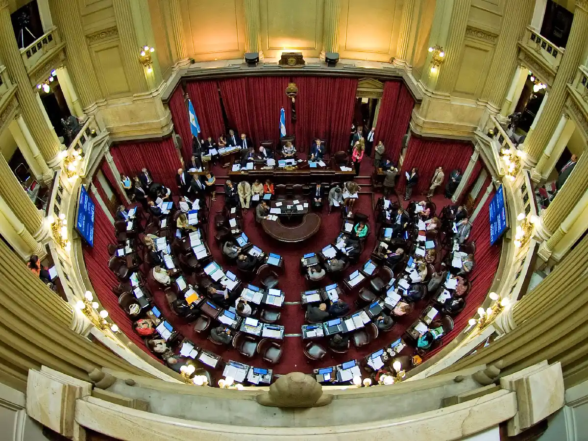 La Cámara baja aprobó el Plan de los 1000 Días y lo envió al Senado