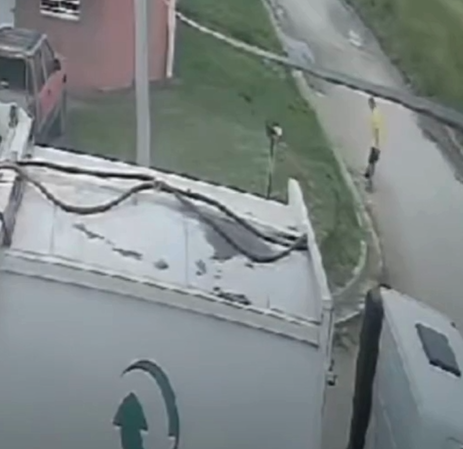 Quequén: recolectores atropellan a una perra y la arrojan al camión como si fuera basura