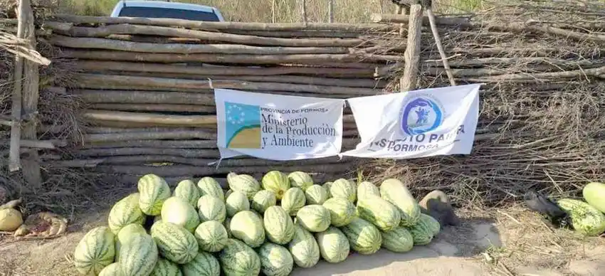 Favorable impacto de las últimas lluvias en 
la producción de la zona Este de la provincia