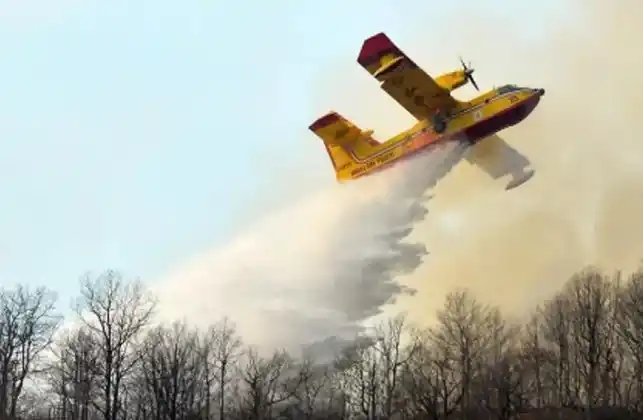 El asado más caro del mundo: sin querer, incendiaron mil hectáreas