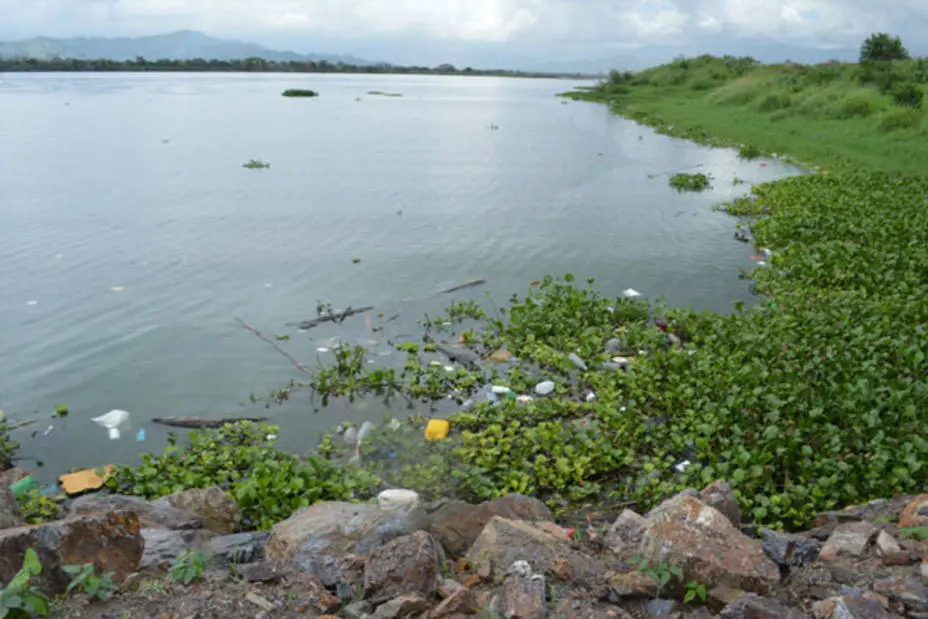 URGENTE: AN alerta sobre la contaminación del Lago de Valencia