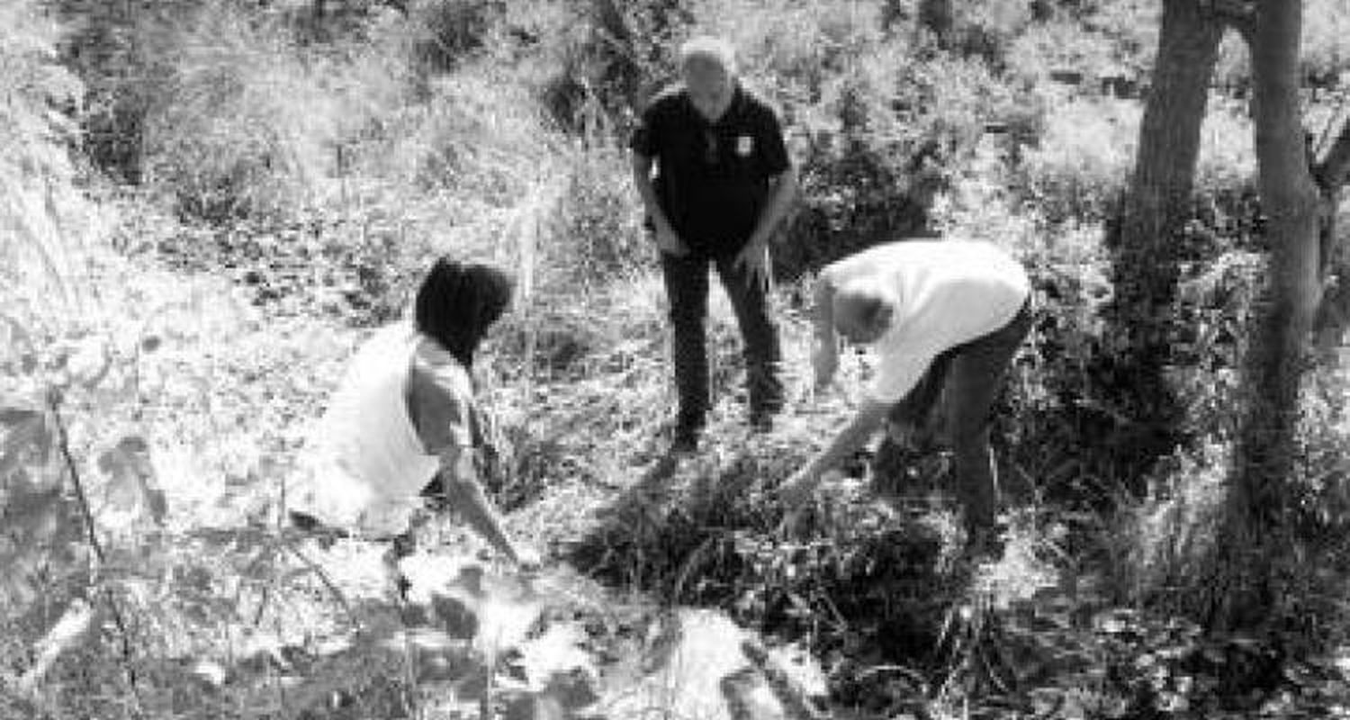 Una doble violación que conmueve a un barrio