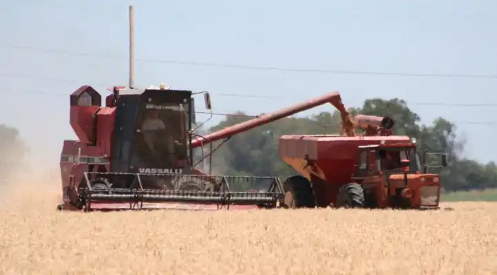 Preocupa el desarraigo y la desaparición de explotaciones agropecuarias de menor escala