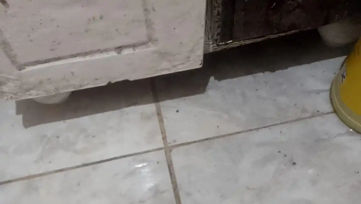 Muchas familias conviven con sus efluentes cloacales dentro de la casa por los continuos desbordes.