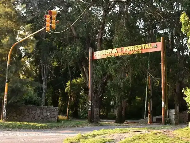 En el proyecto, establecieron ocho entradas para vehículos al bosque.
