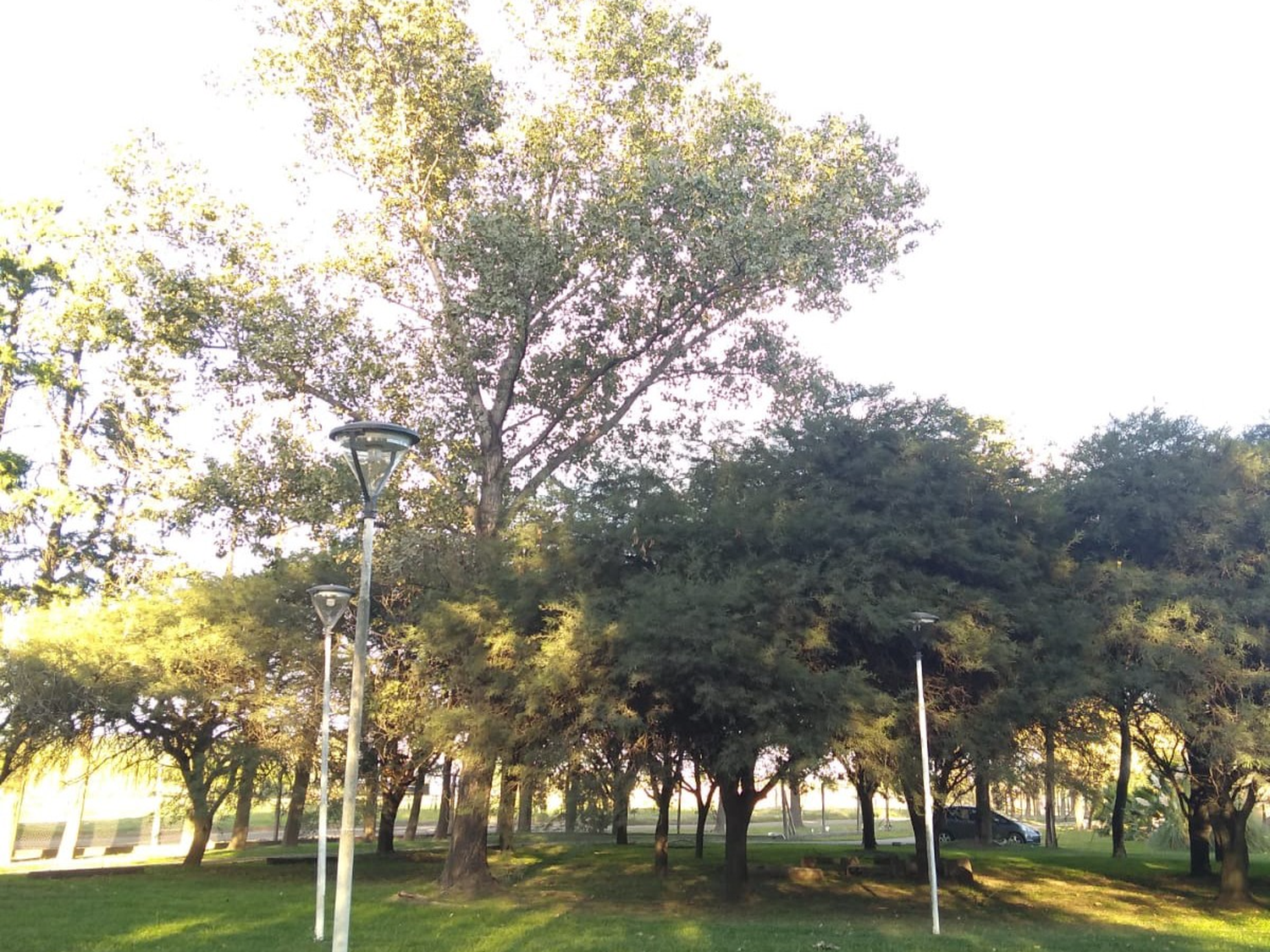 El bosquecillo de UTN San Francisco llevará el nombre "Héroes de Malvinas"
