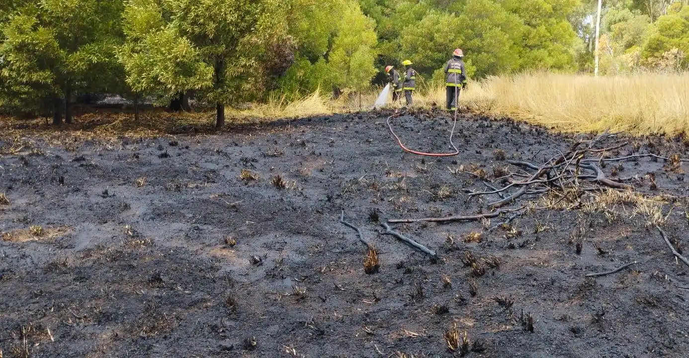 Incendio monte - 2