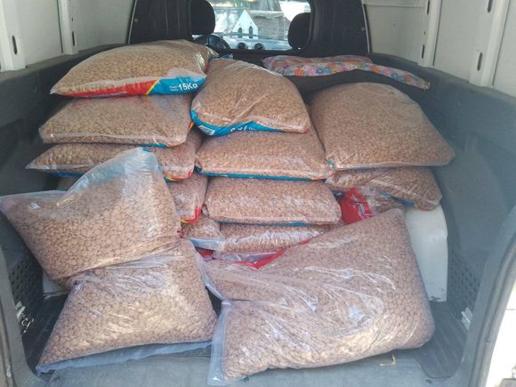 Alrededor de $ 240.000 por mes se necesitan para alimentar a los perros del Refugio