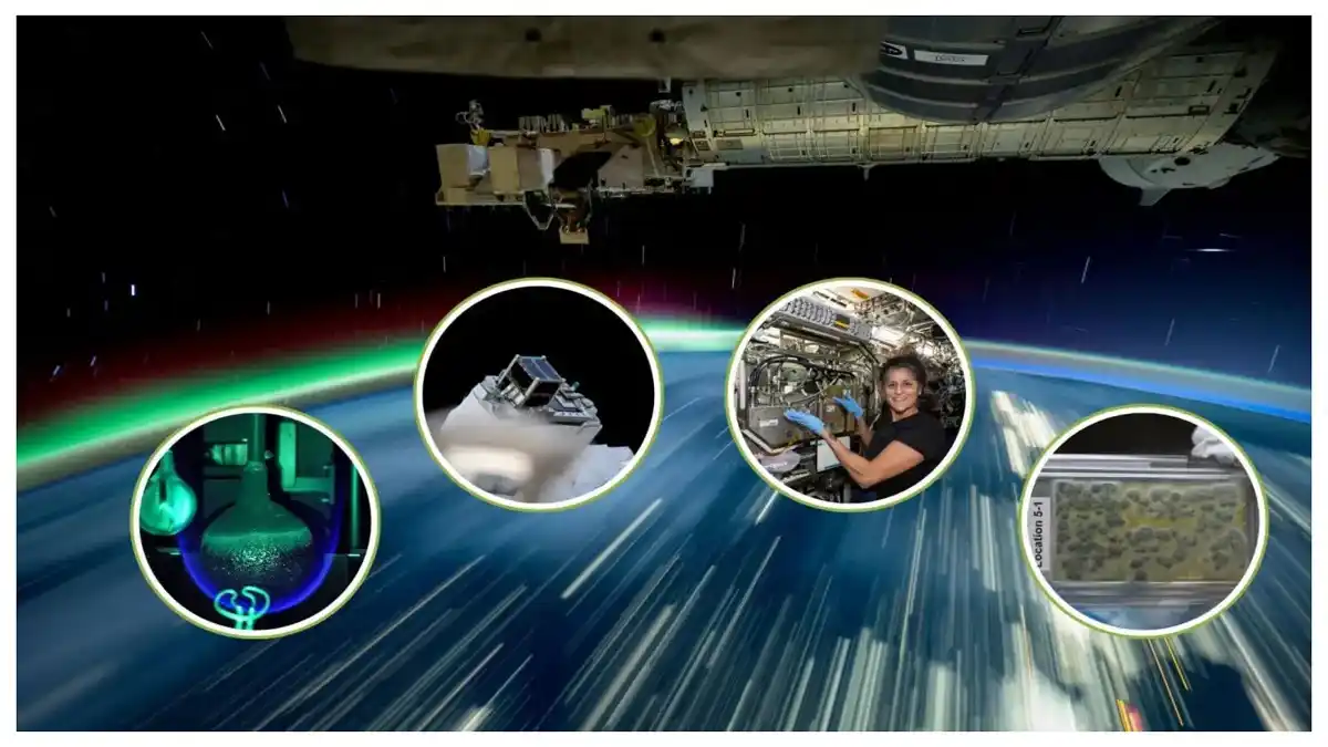 Las mejores imágenes científicas de la Estación Espacial Internacional tomadas por la NASA durante 2024