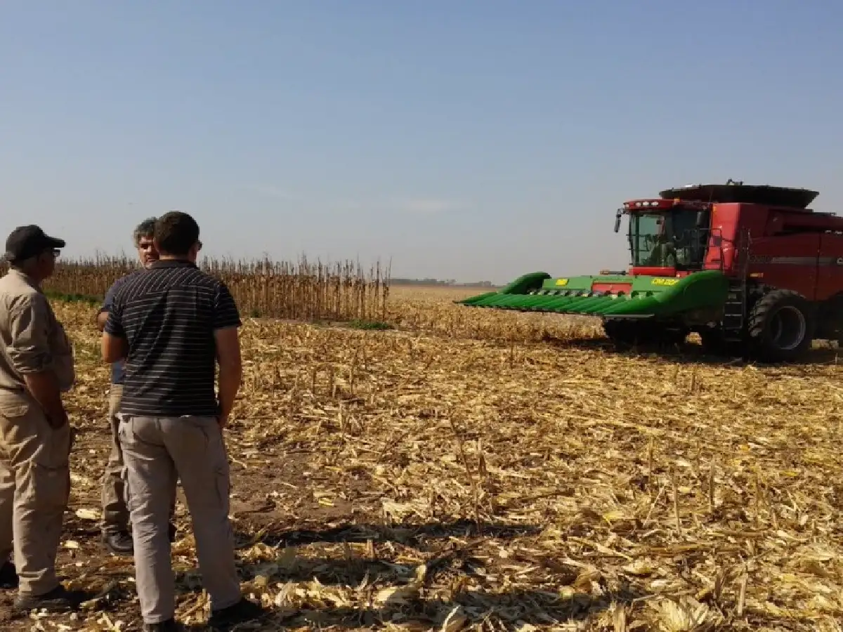 El capital humano, un tema pendiente en el agro 