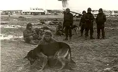 Mortero, la historia del heróico y acompañante perro de Malvinas