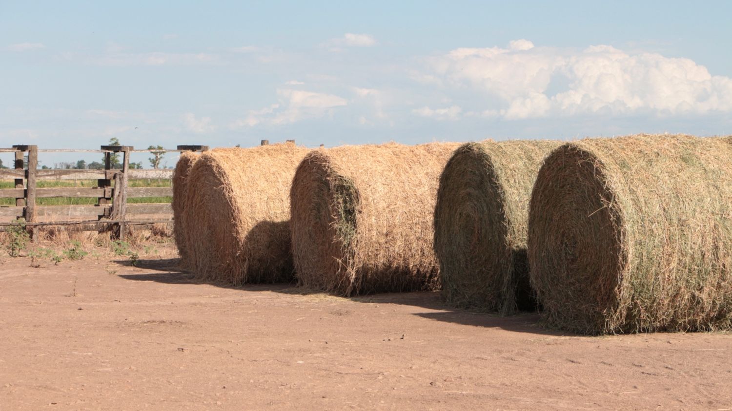 La provincia ofrece créditos con tasa bonificada por $5.000 millones al sector agropecuario