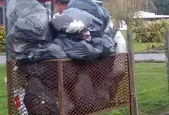 Vecinos reclaman la falta de recolección