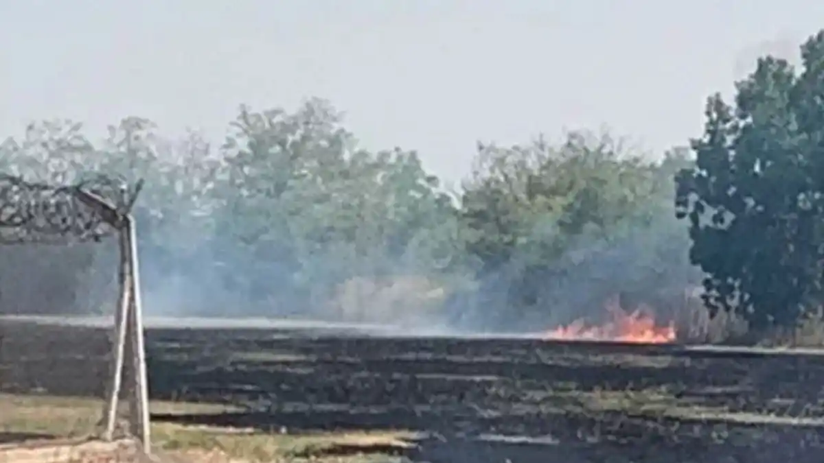 Autopista Santa Fe – Rosario: intentan sofocar quema de pastizales en zona de countries