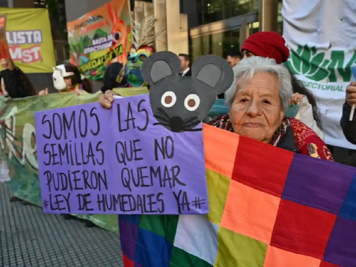 Postergaron hasta el jueves el dictamen de la "Ley de humedales"