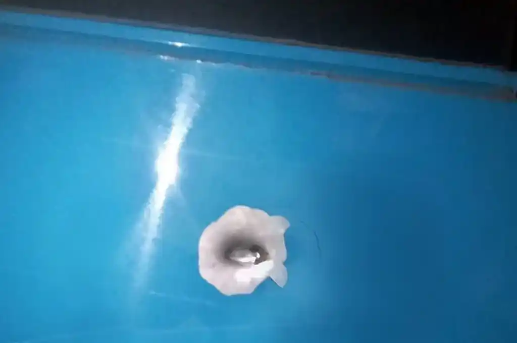 Los uniformados comprobaron que el coche había recibido cuatro impactos de bala en su lateral derecho. Foto: Gentileza