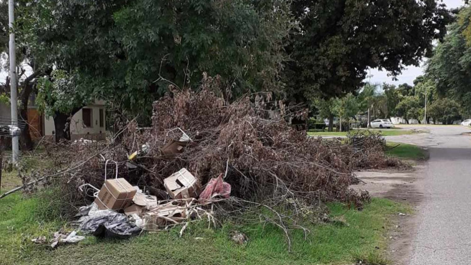 La queja es por el estado del barrio Villa Igoillo, que abandonan sus propios vecinos arrojando ramas y basura sobre la Av. Kennedy.