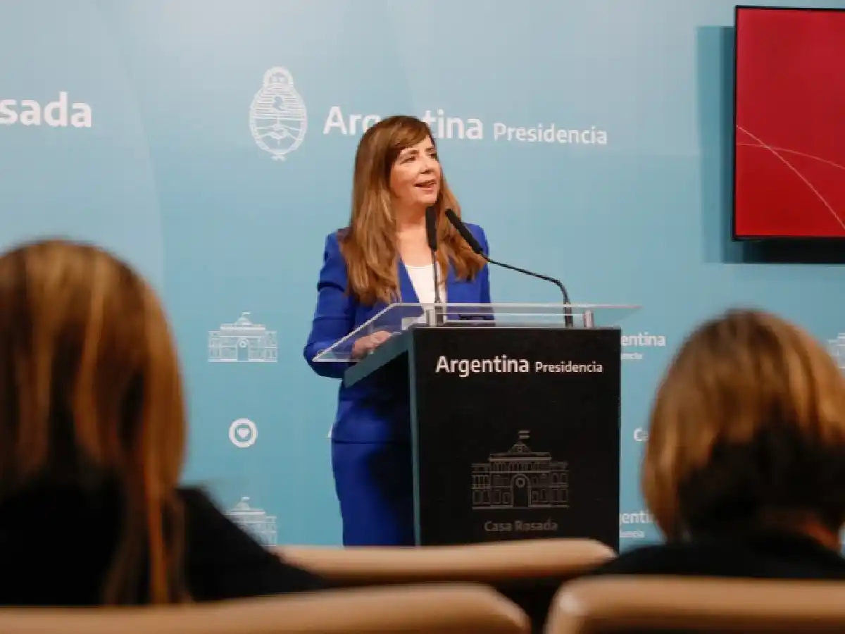 Cerruti: "El 80% de los hogares que solicitaron el subsidio, lo van a mantener"