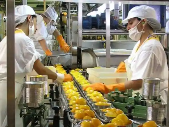 Hoy se celebra el Día del Trabajador de la Alimentación
