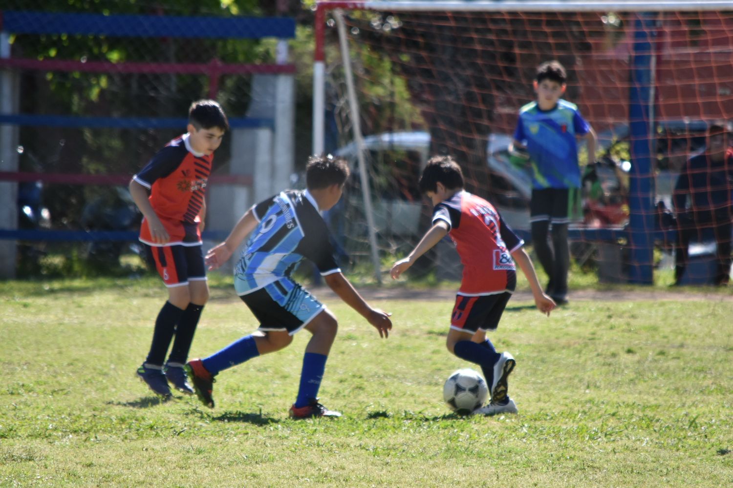 Los resultados de la octava fecha del Torneo Preparación de la LDI: El Tanque ganó su zona en 2013 y Rivadavia en 2014