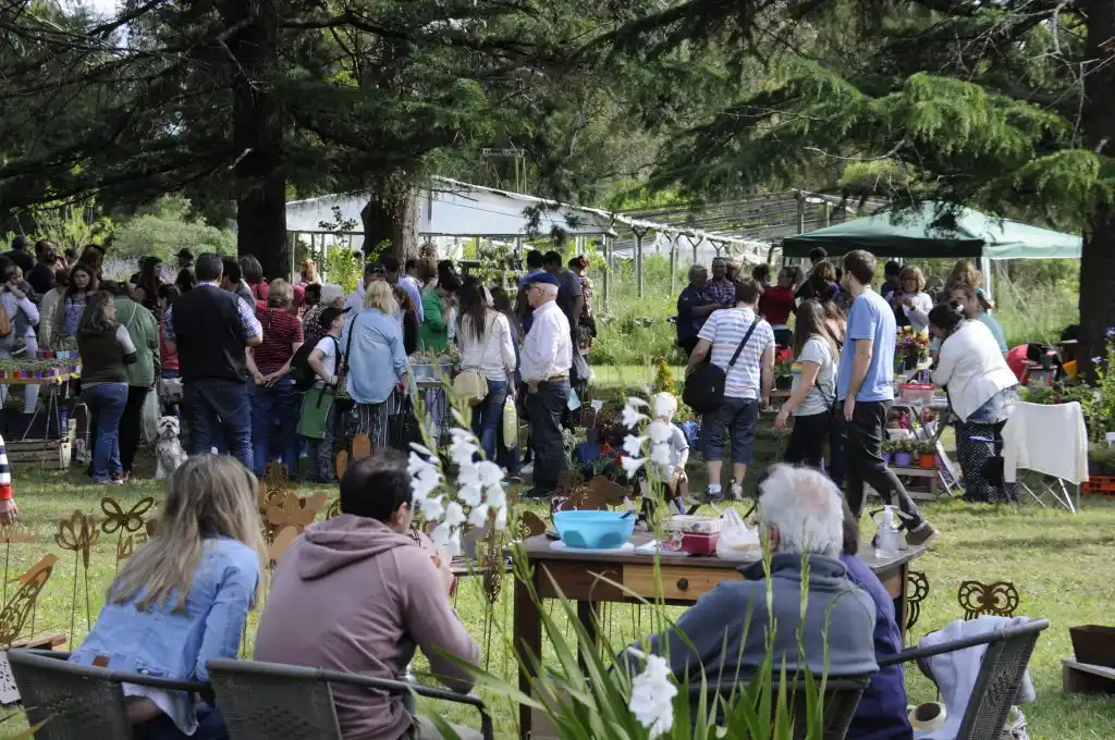 Agenda cultural domingo 17 de noviembre