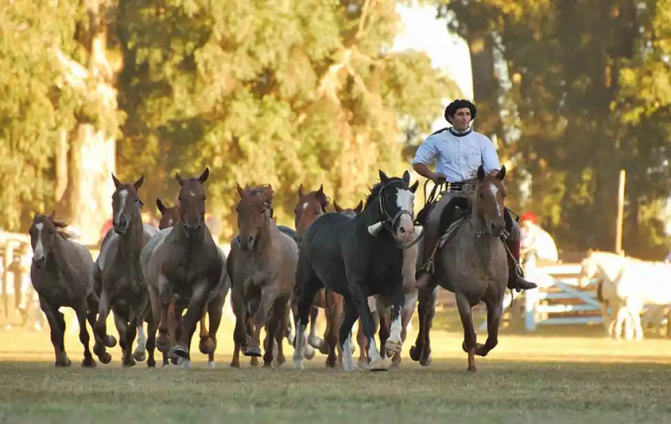 Actividades turísticas para el fin de semana del Día de la Madre 