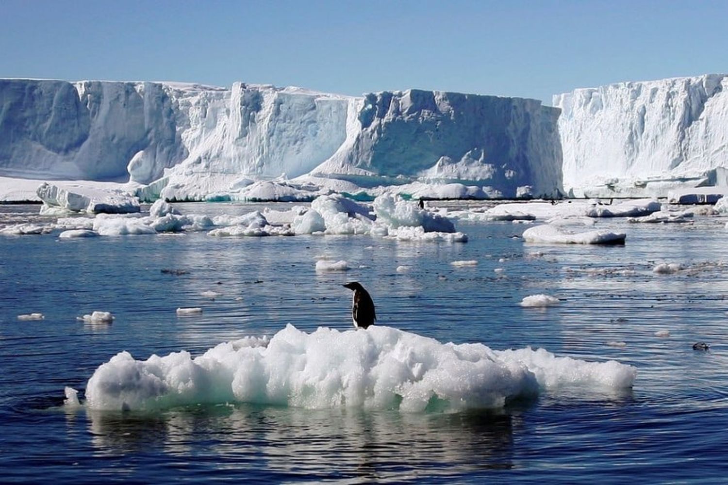 Drástica caída en el volumen de hielo marino en la Antártida