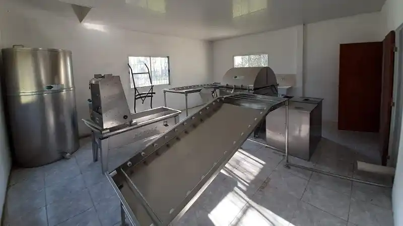 La sala de extracción de miel La Colonia, una inversión que potencia la apicultura del norte entrerriano
