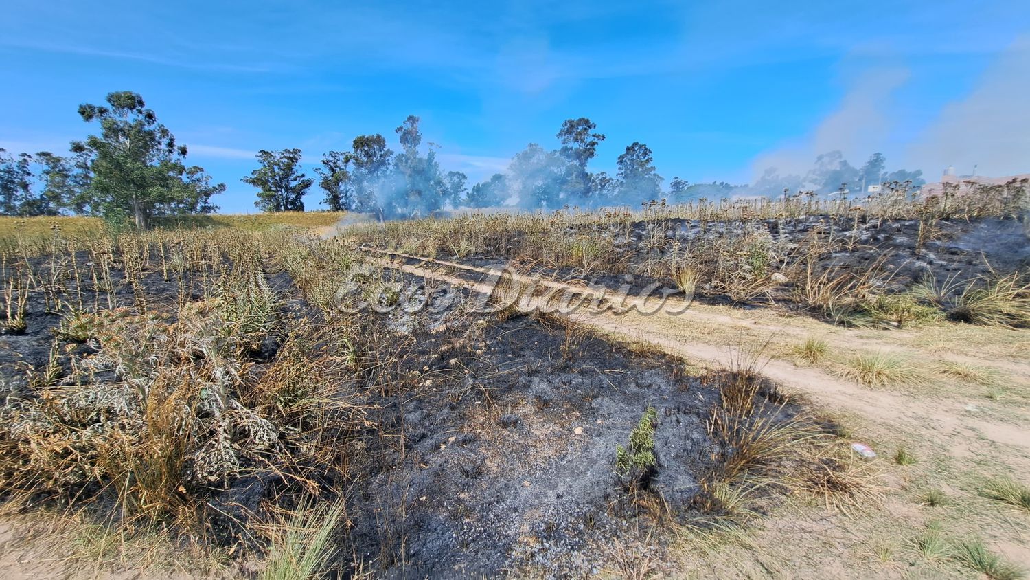 incendio pastos