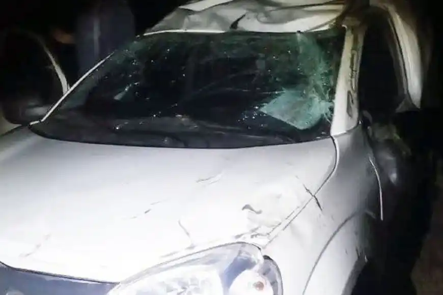 Un conductor esquivó un ciervo y terminó volcando con su camioneta 