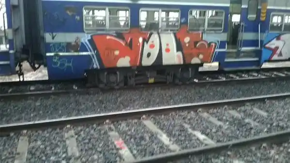 Descarriló una formación del Tren Roca y hay servicio limitado